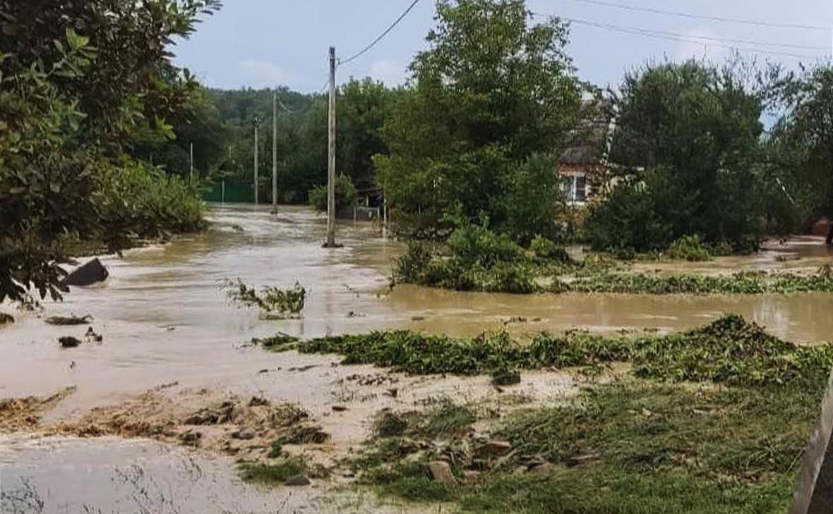 Фото: sergey_belopolskyi / Telegram