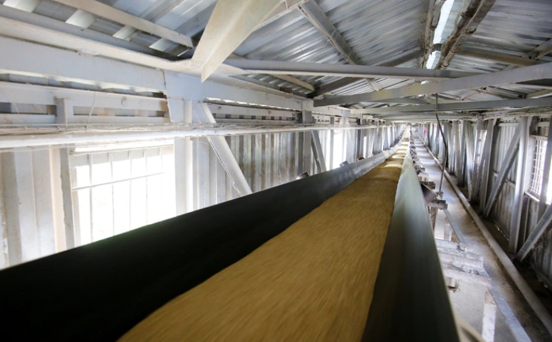 Фото: Кирилл Брага / РИА Новости