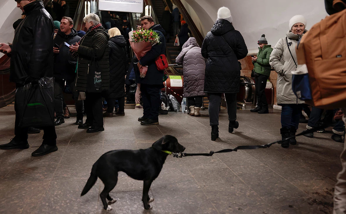 Jeff J Mitchell / Getty Images