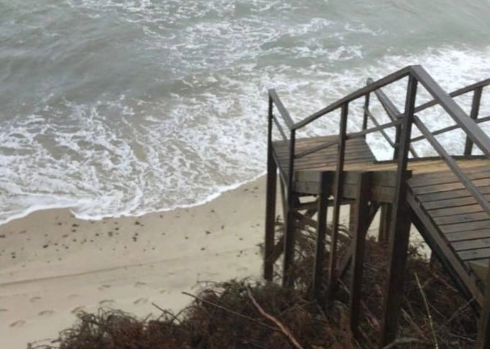 Пресс-служба Куршской косы