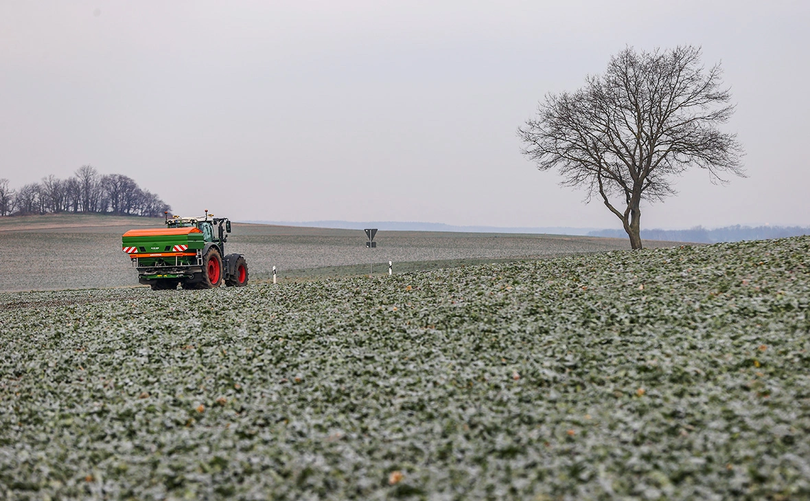 Jan Woitas / dpa-Zentralbild / Global Look Press