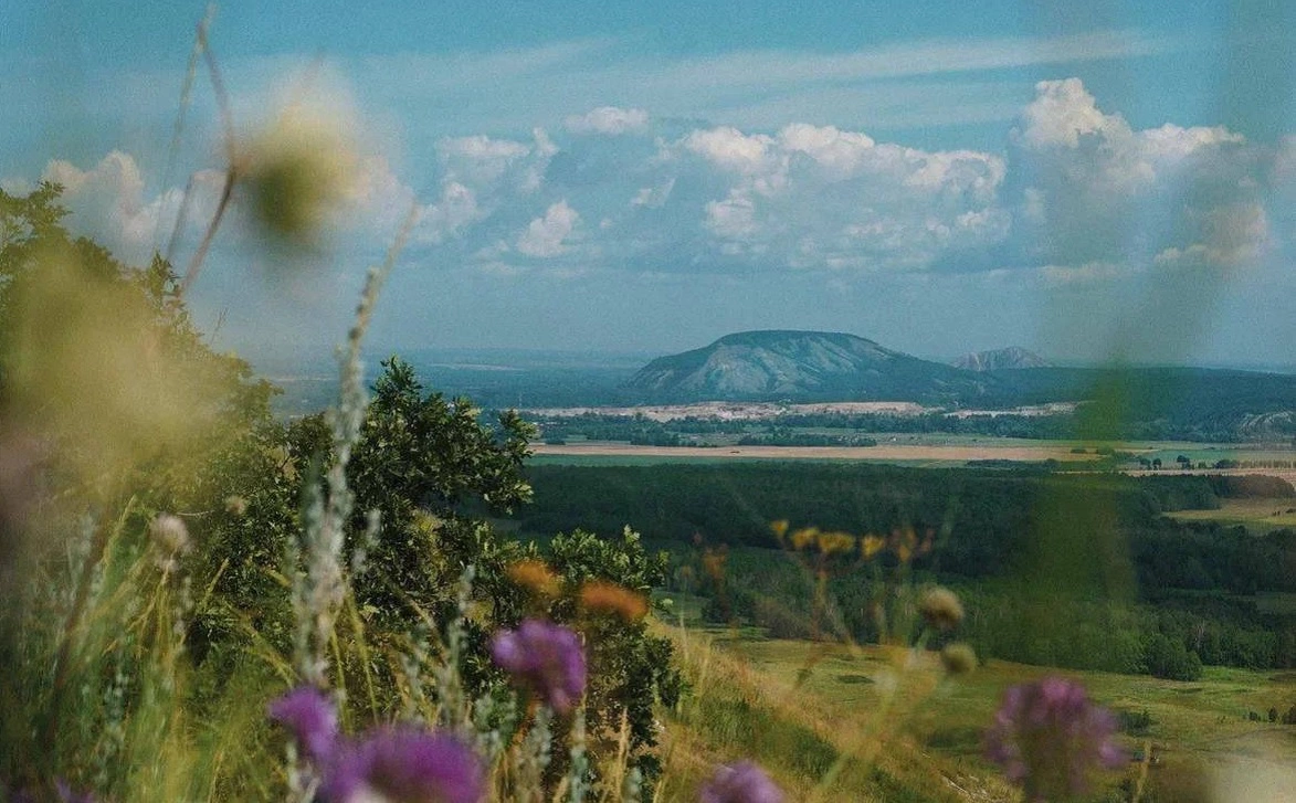 Радий Хабиров / t.me