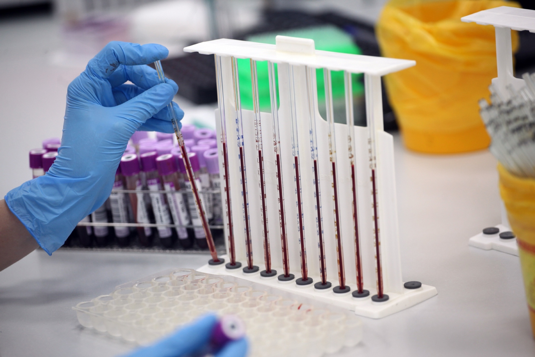 Фото: Пальм Елена / PhotoXPress.ru