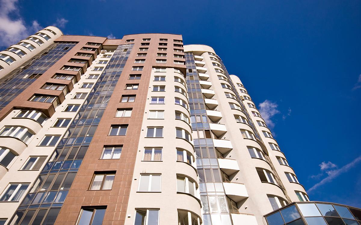 Фото: Potapovpaladin / Shutterstock / FOTODOM