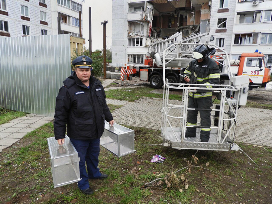 Фото: Московская областная противопожарно-спасательная служба