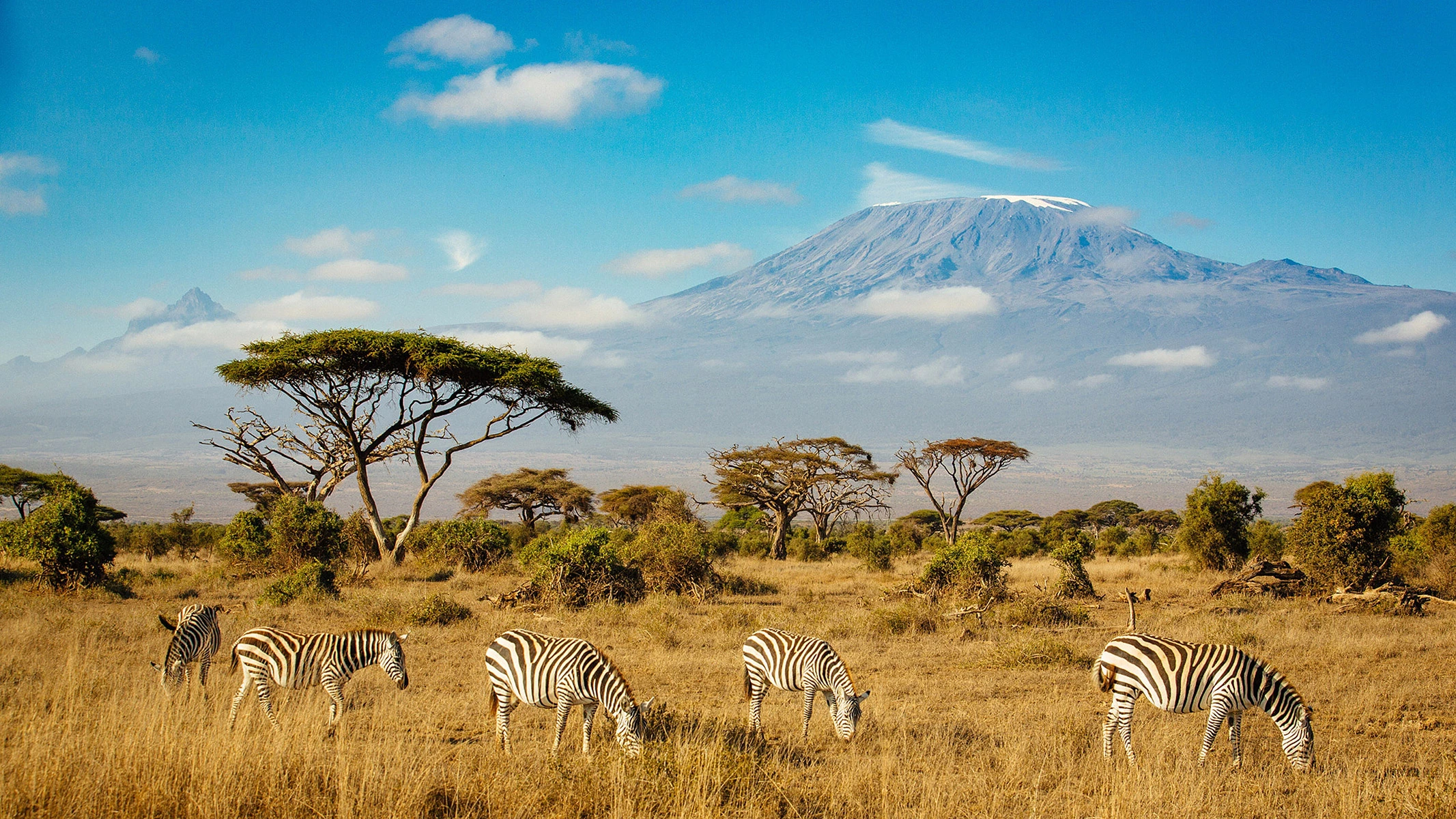 <p>Килиманджаро</p>