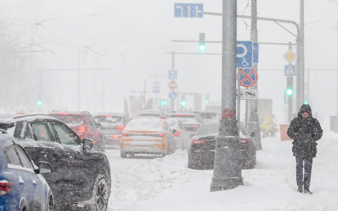 Фото: Василий Кузьмичёнок / Агентство «Москва»