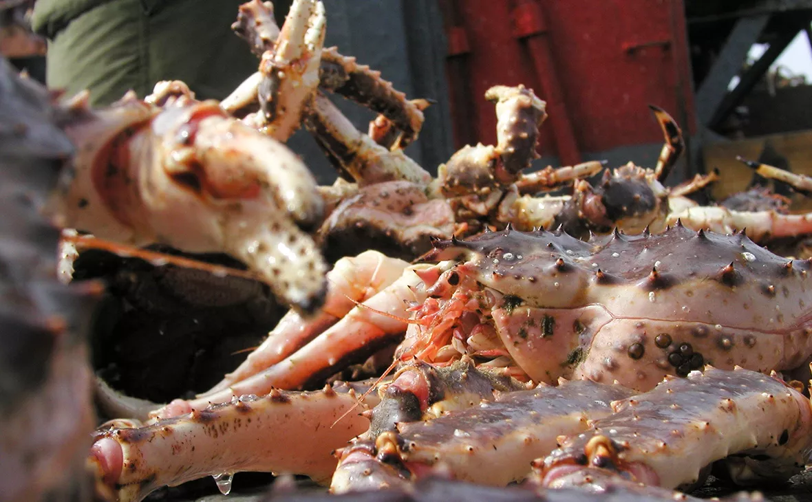 Александр Архипов / Global Look Press