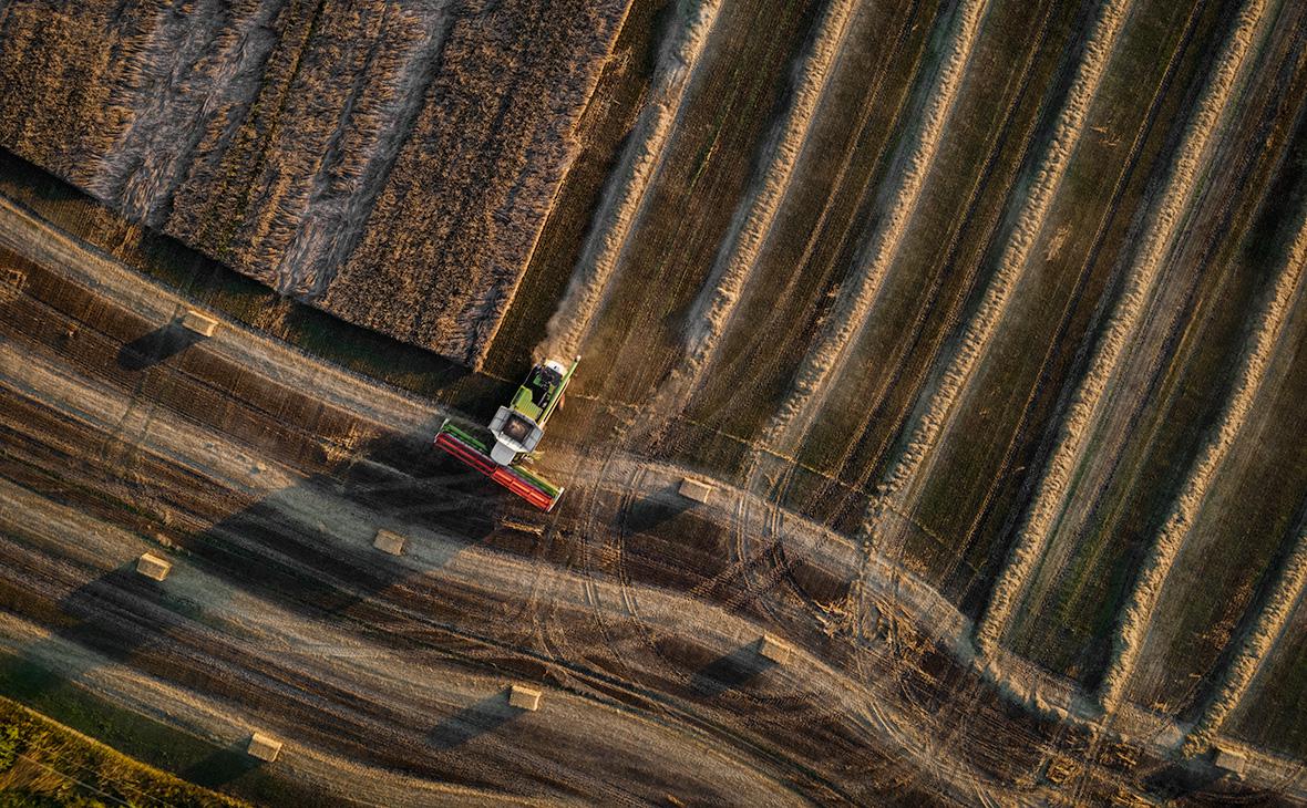 Фото: Ed Ram / Getty Images