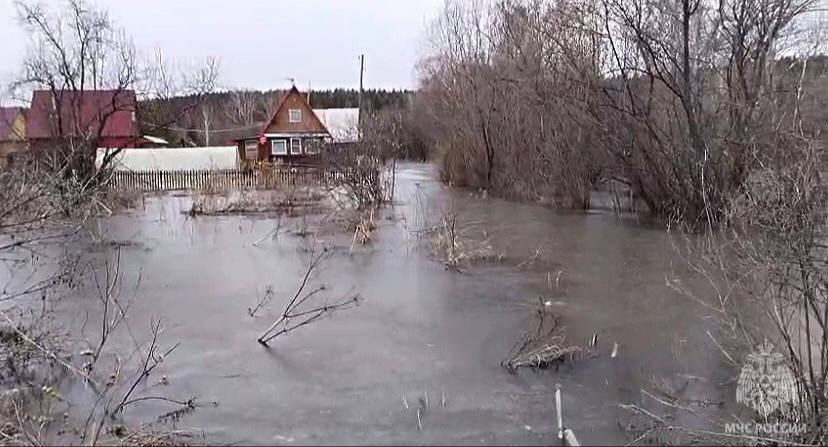 Фото: пресс-служба ГУ МЧС по Новосибирской области