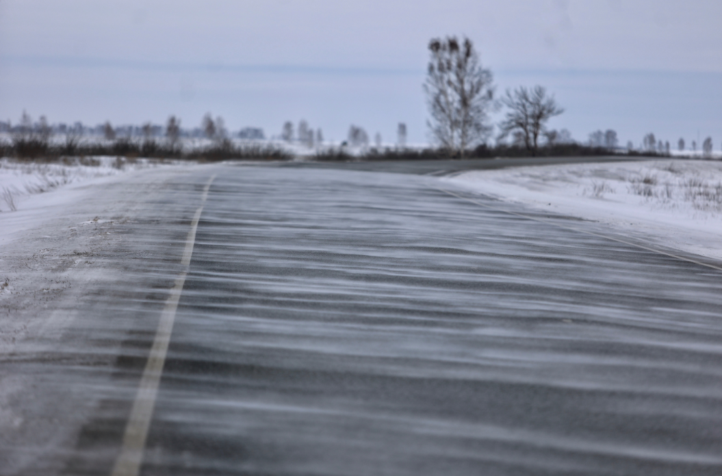 Екатерина Сычкова / URA.RU