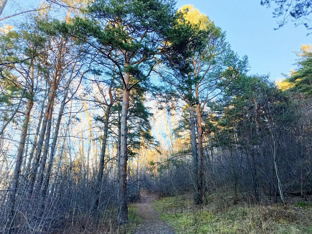 Алексей Коваленок / РБК Новосибирск
