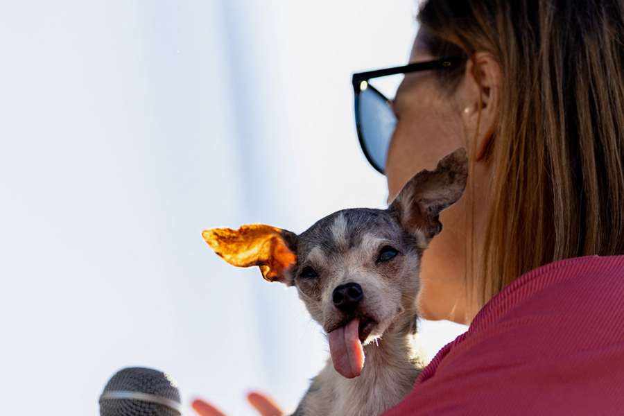 Фото: Carlos Barria / Reuters