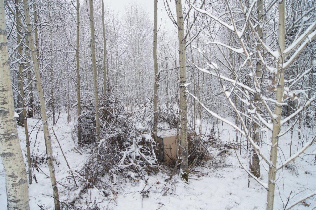 Майнинг-ферма в лесополосе. Фото: Телеграм-канал ОГУЭП &laquo;Облкоммунэнерго&raquo; (Иркутская область)
