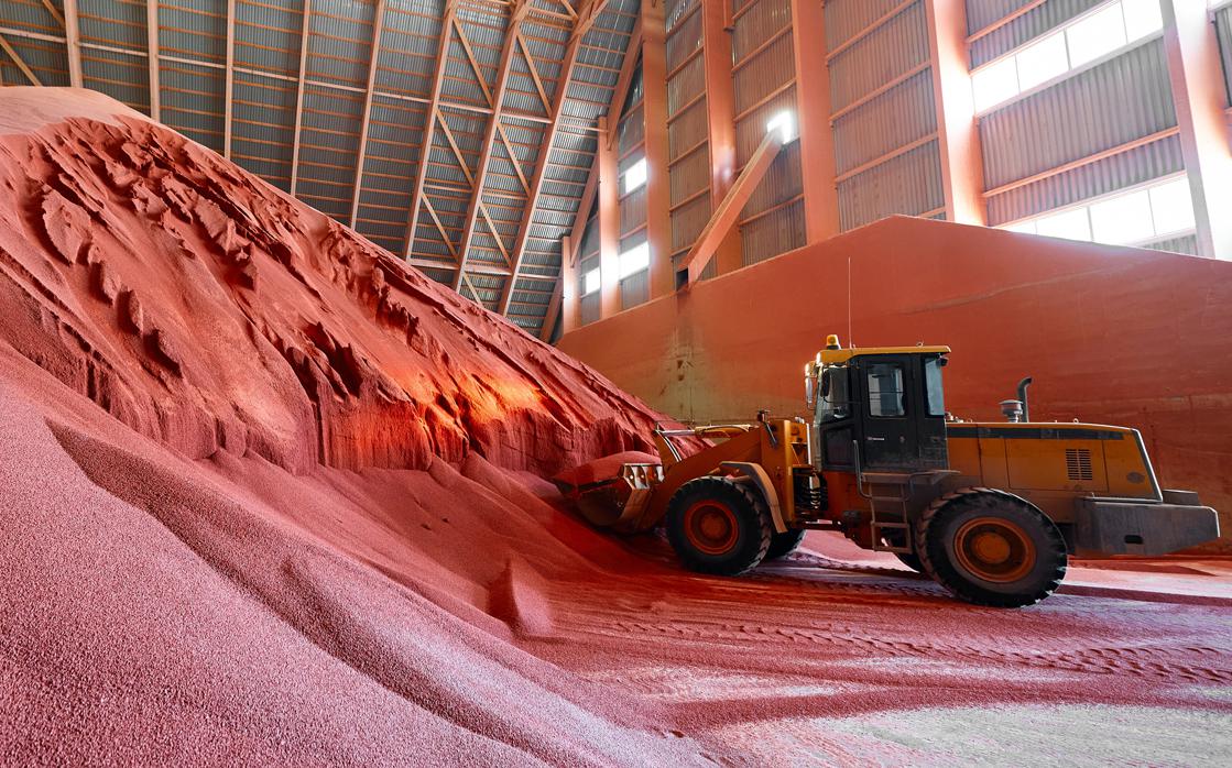 Фото: Shutterstock