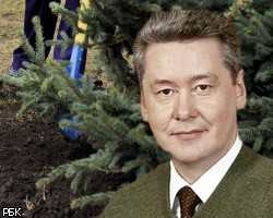 С.Собянин посадил трехметровую ель в парке "Радуга"