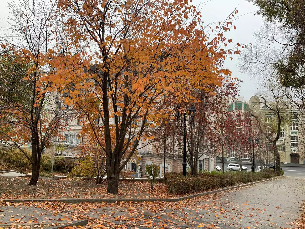 РБК Приморье