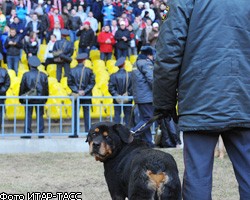 Матч Россия - Словакия: Полиция в Москве переведена на усиленный режим