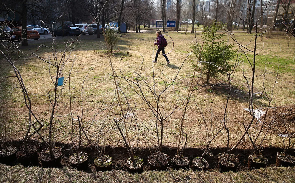 Гавриил Григоров / ТАСС