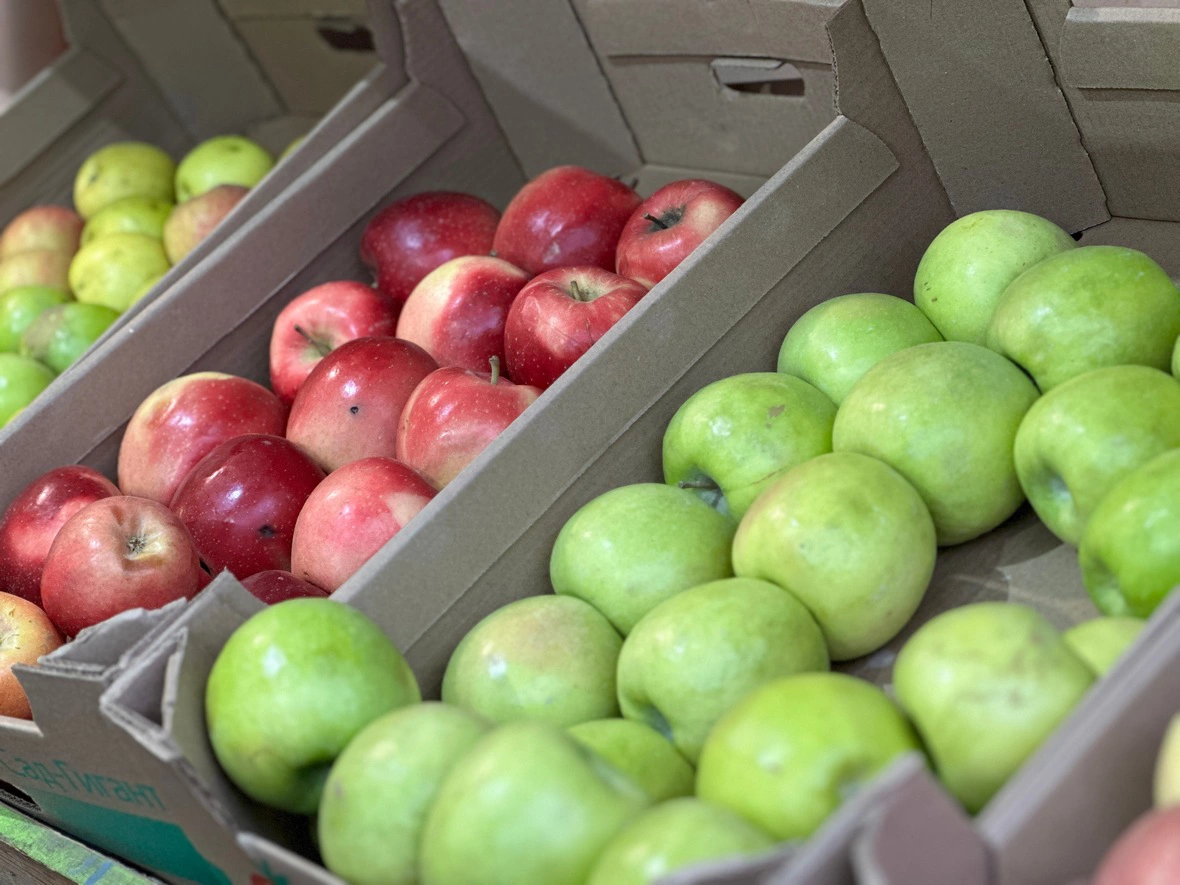 РБК Краснодар