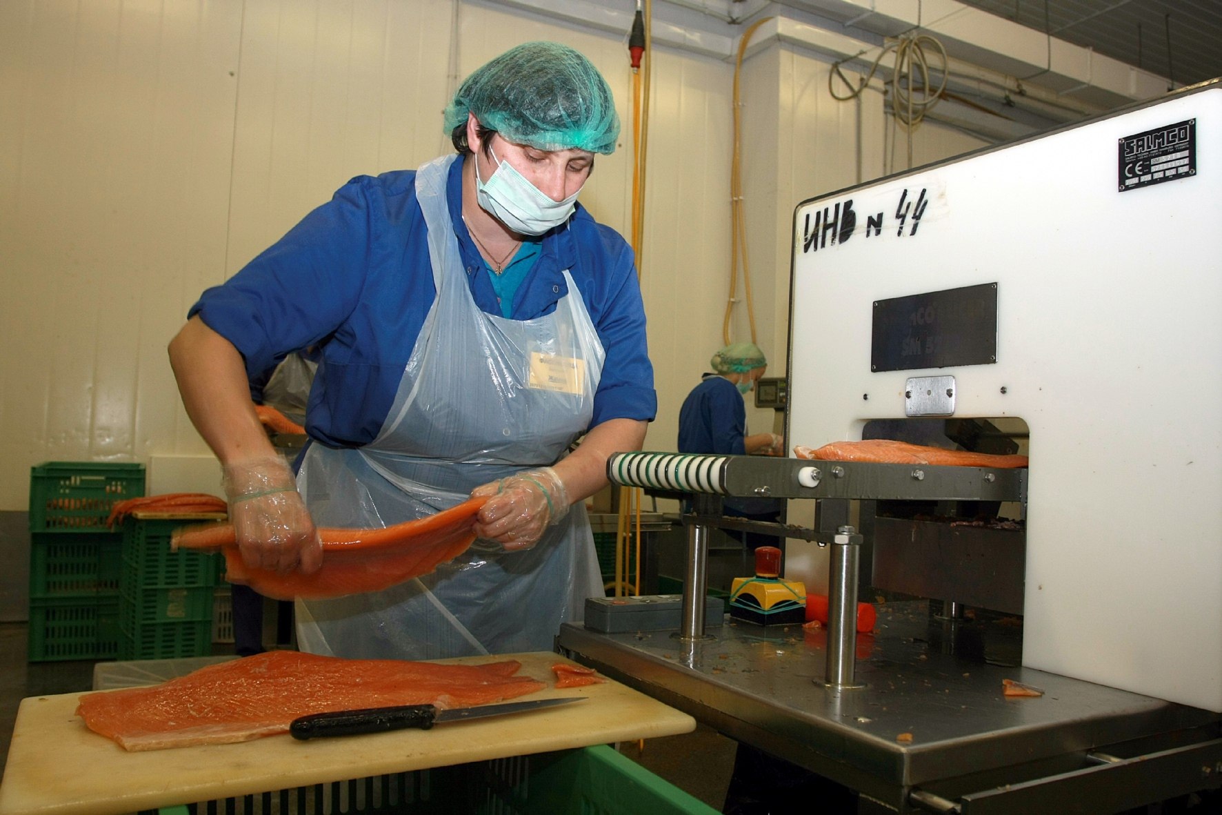 Фото: Холявчук Светлана / PhotoXPress.ru