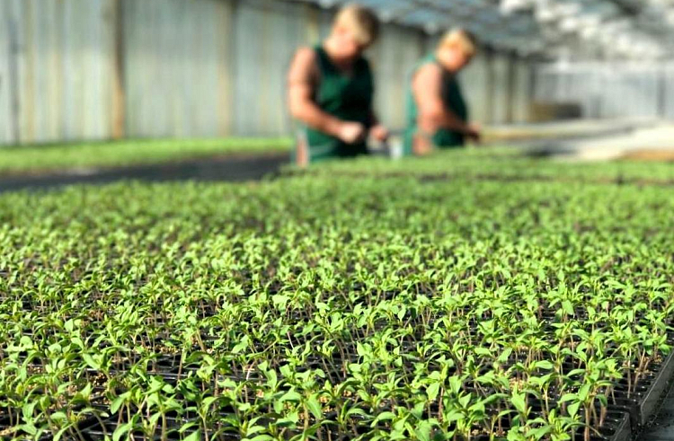 Правительство Приморского края