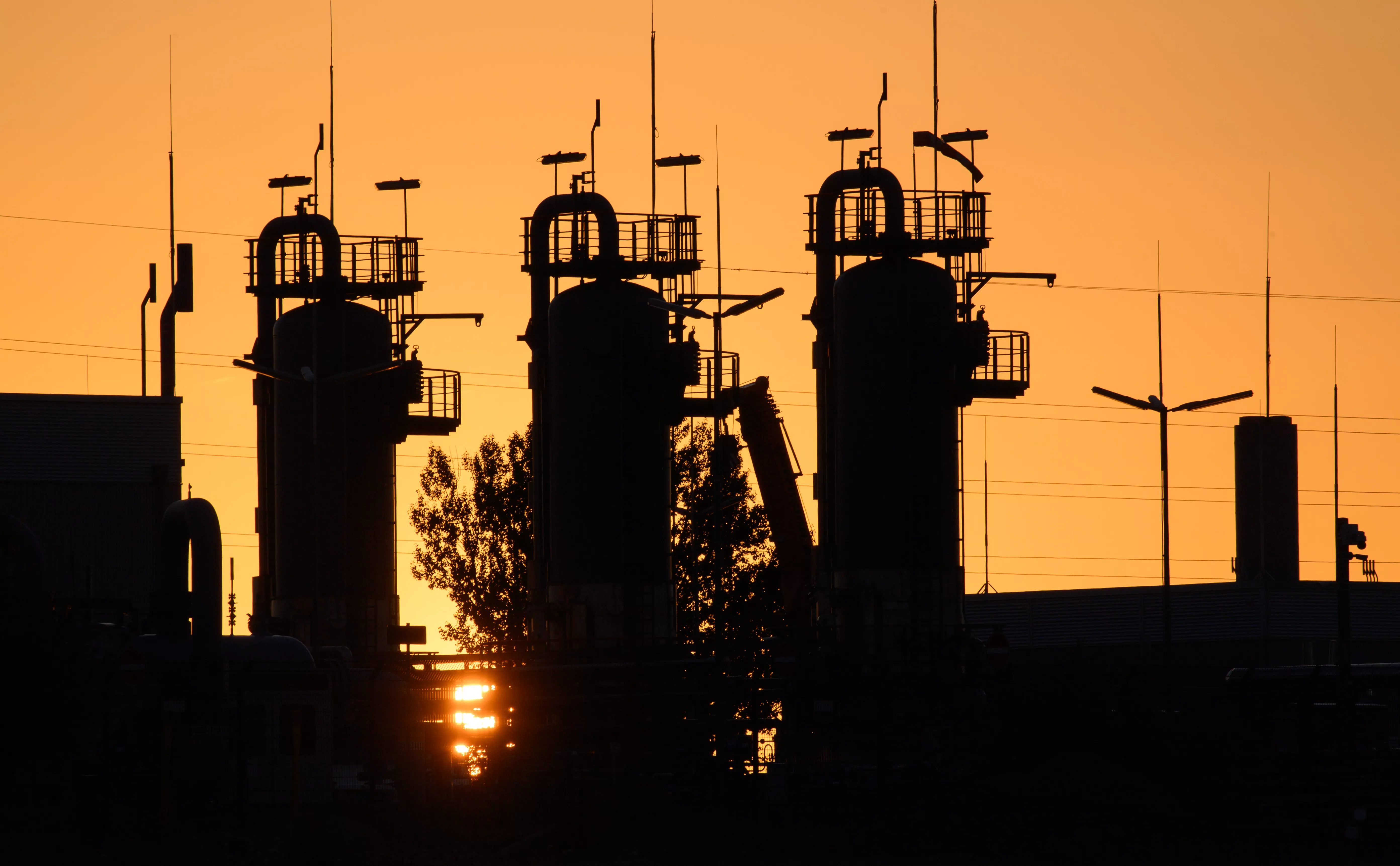 Klaus-Dietmar Gabbert / dpa / picture-alliance / ТАСС