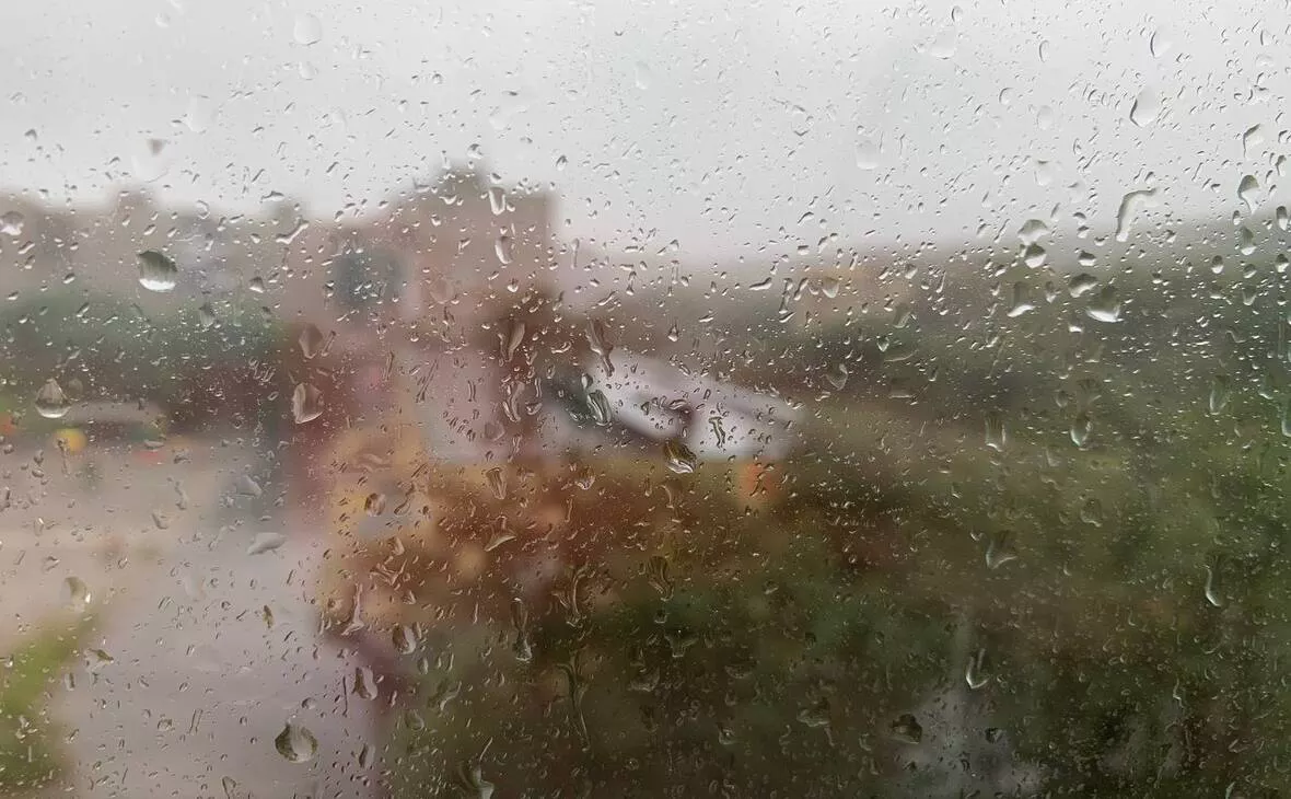 РБК Мурманск