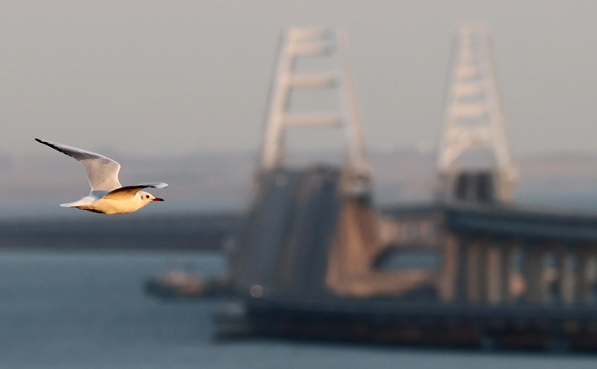 Сергей Мальгавко / ТАСС