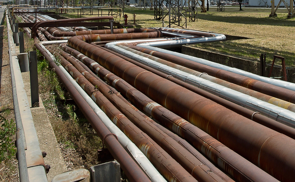 Zuzana Gogova / Getty Images