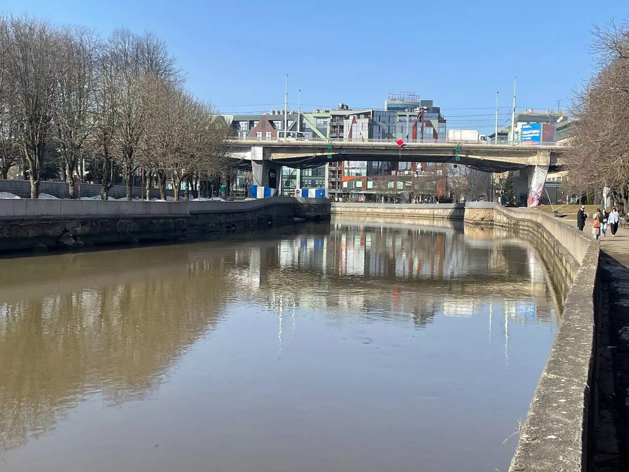 Марина Маркевич