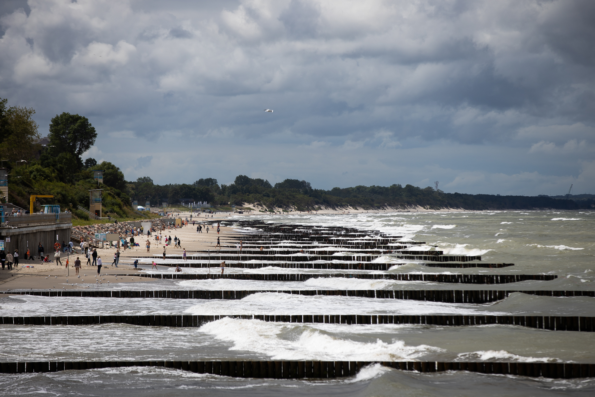 Александр Подгорчук