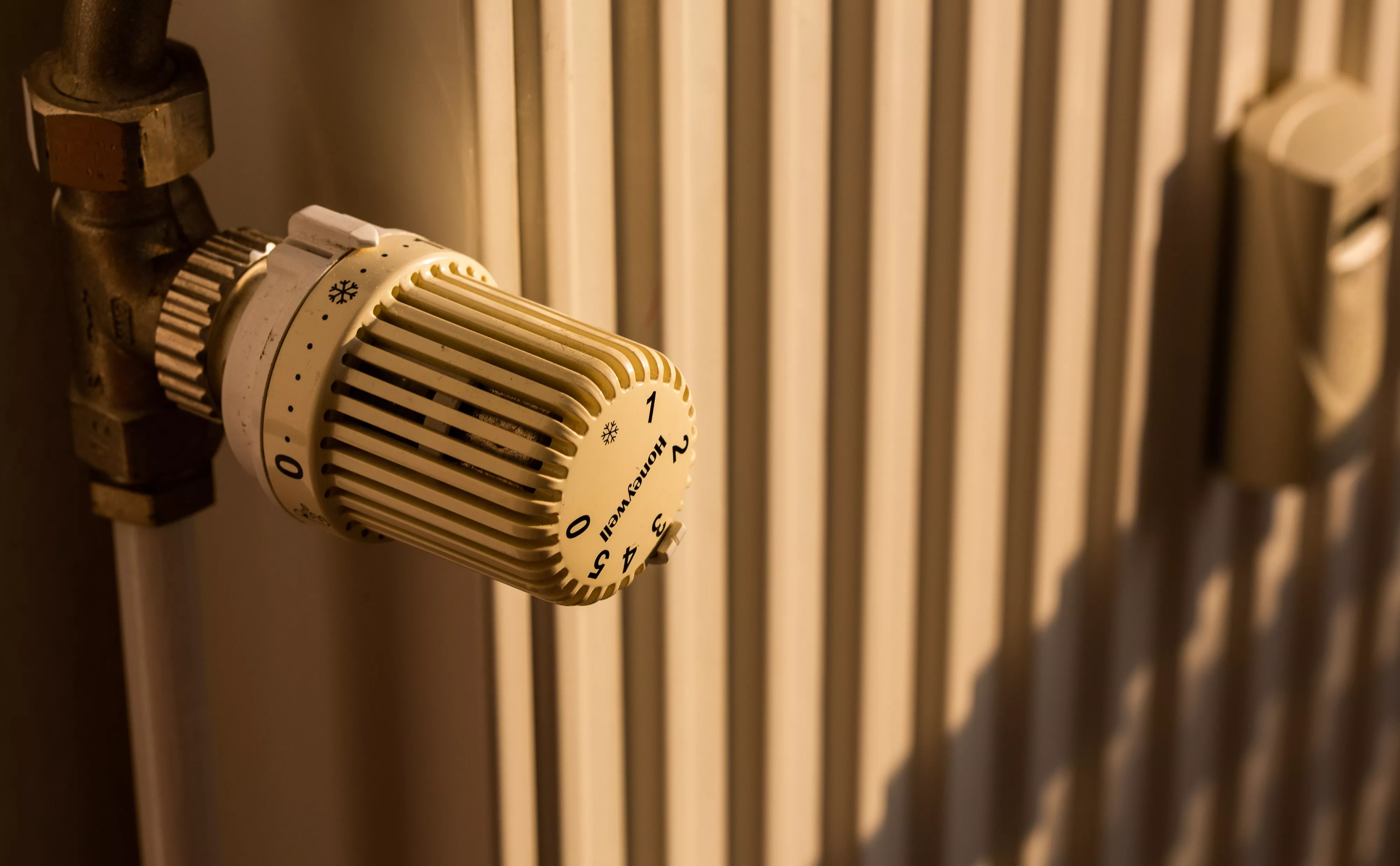 Fernando Gutierrez-Juarez / dpa / Global Look Press