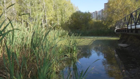 Telegram-канал экс-заммэра Новосибирска Анны Терешковой