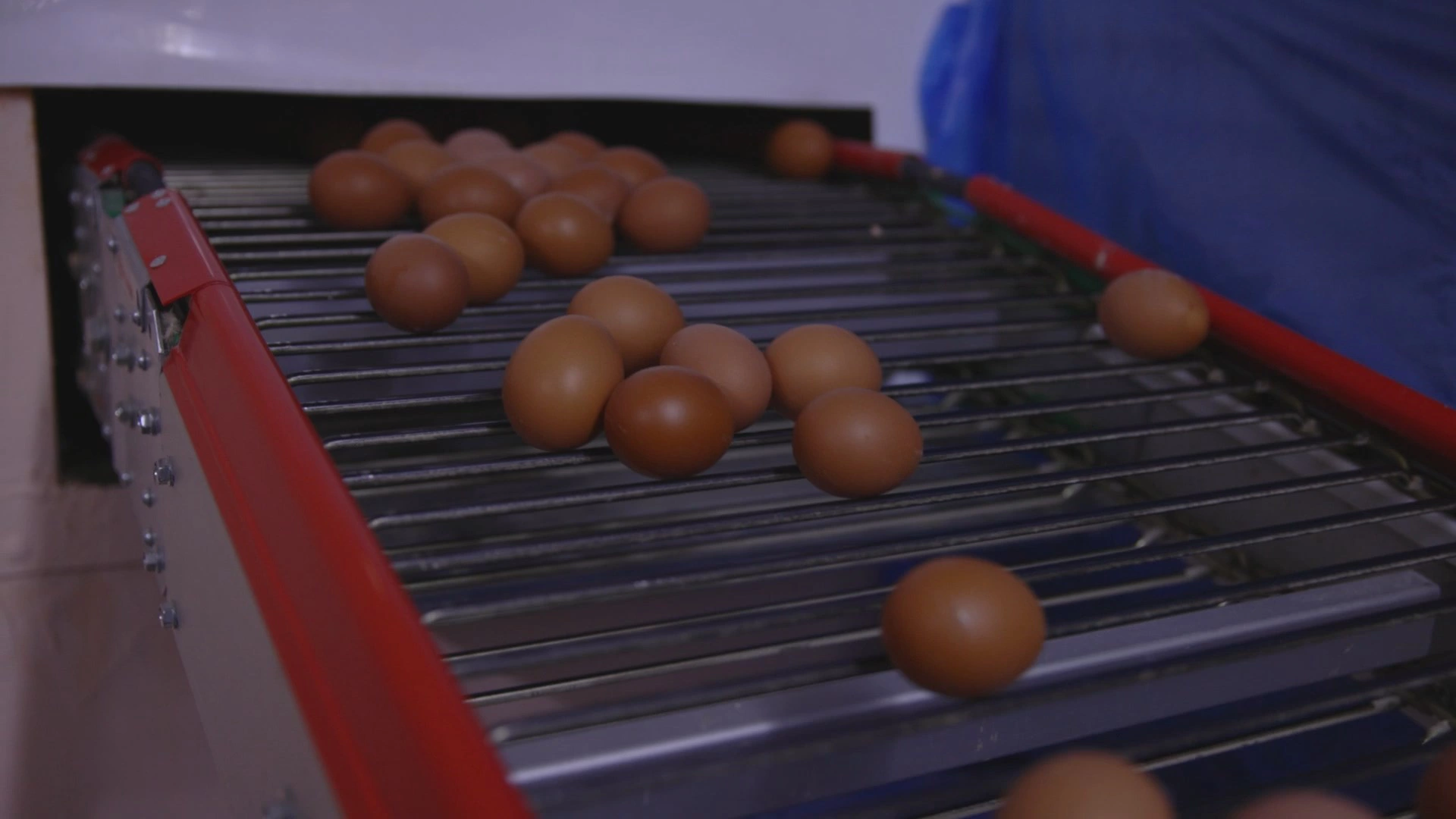 Правительство Камчатского края