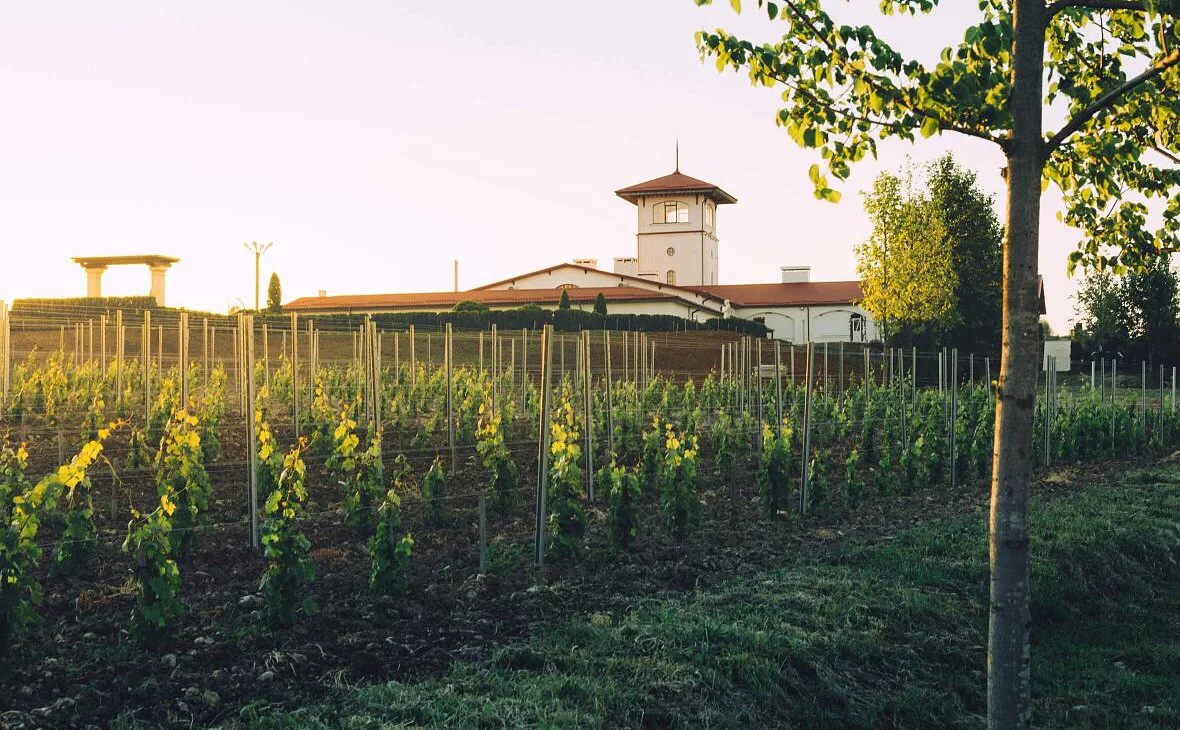 пресс-служба администрации Краснодарского края