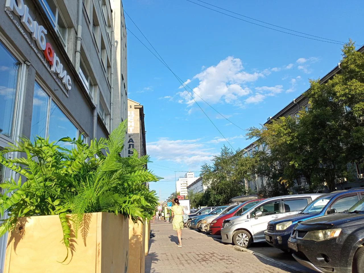 Алексей Коваленок / РБК Новосибирск