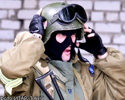 Силовики уничтожили 10 боевиков на границе Ставрополья и КБР