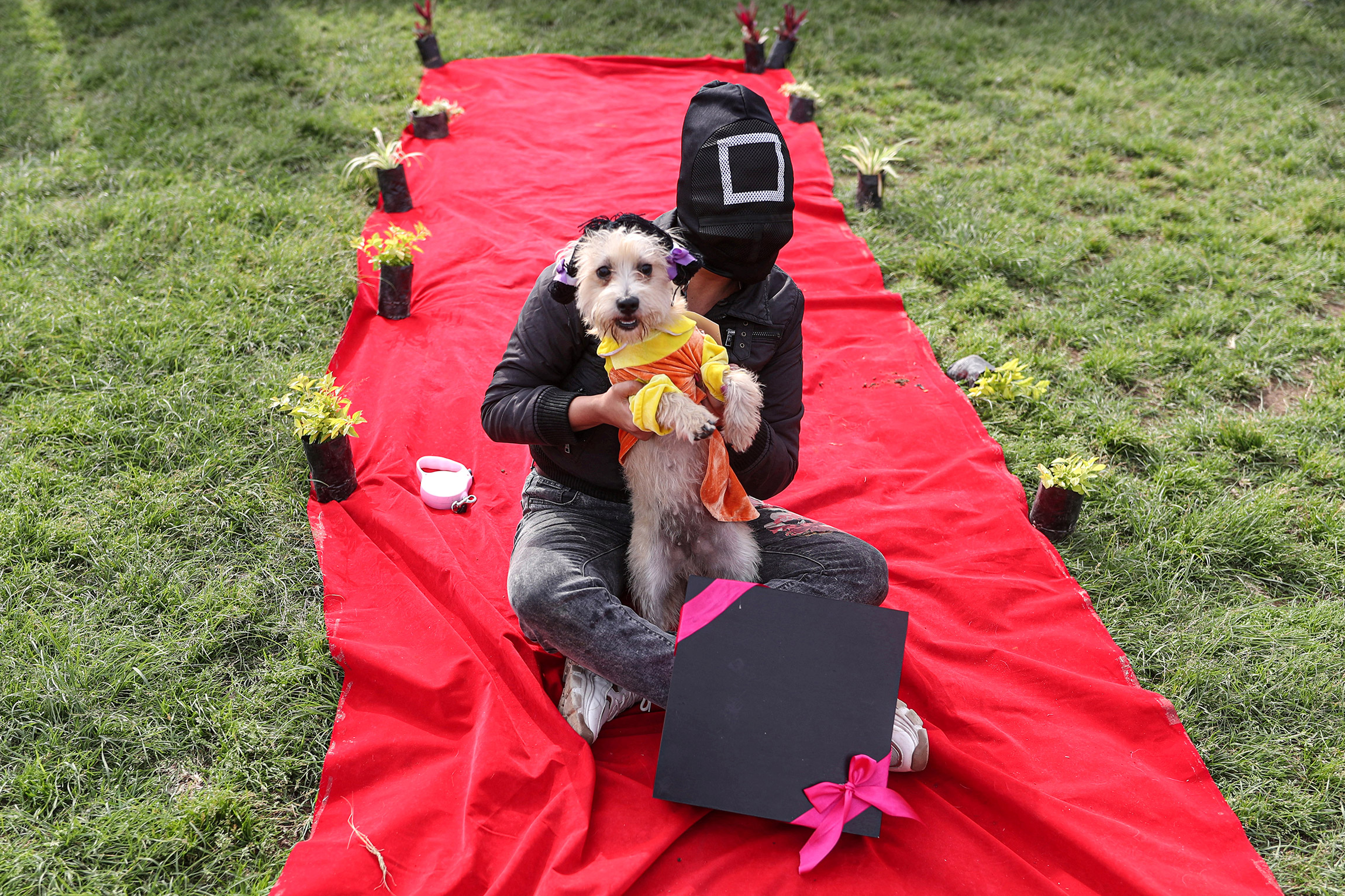 21 октября, Лима (Перу). Человек в костюме по мотивам сериала со своим питомцем на конкурсе хеллоуинских костюмов для собак