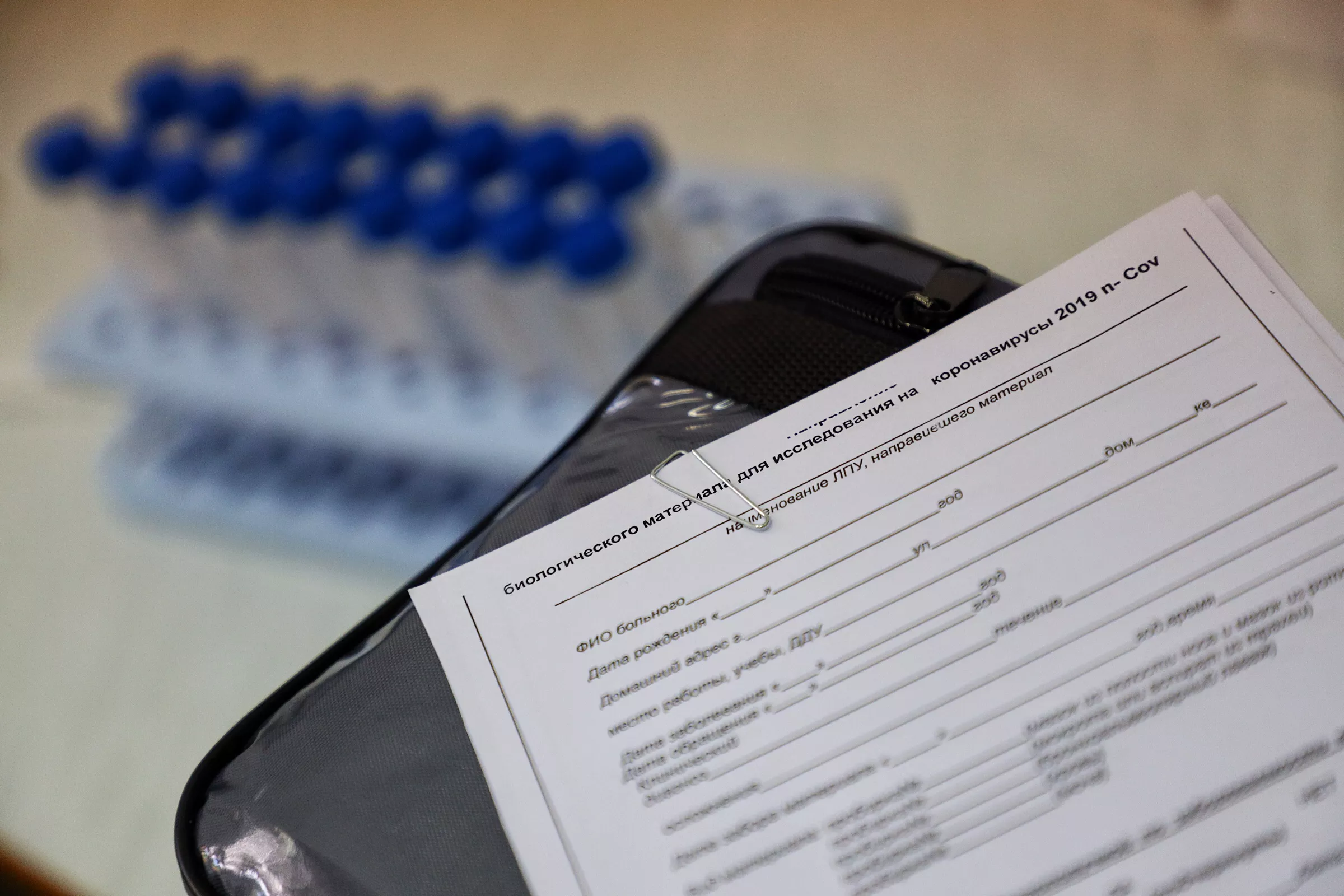 Александр Подгорчук