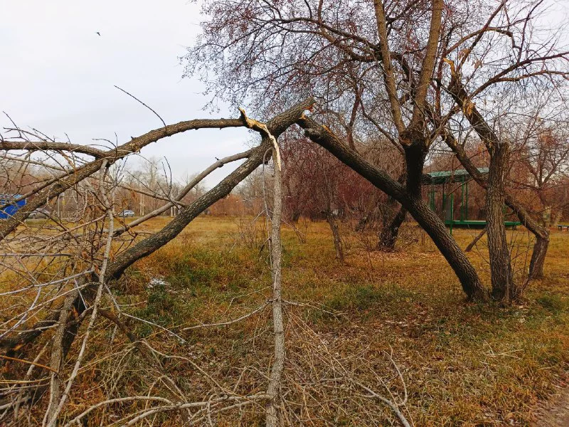 Алексей Коваленок / РБК Новосибирск