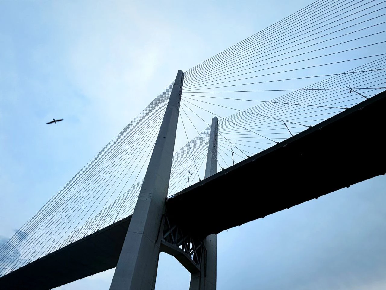 РБК Приморье