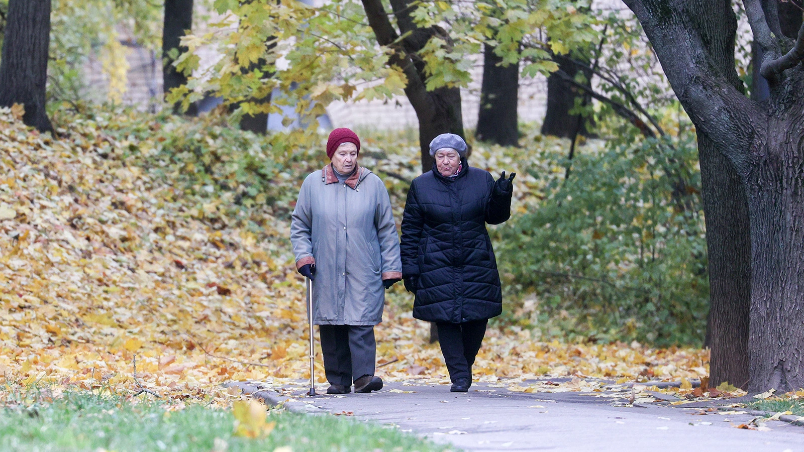 Женщины во время прогулки в одном из парков Москвы