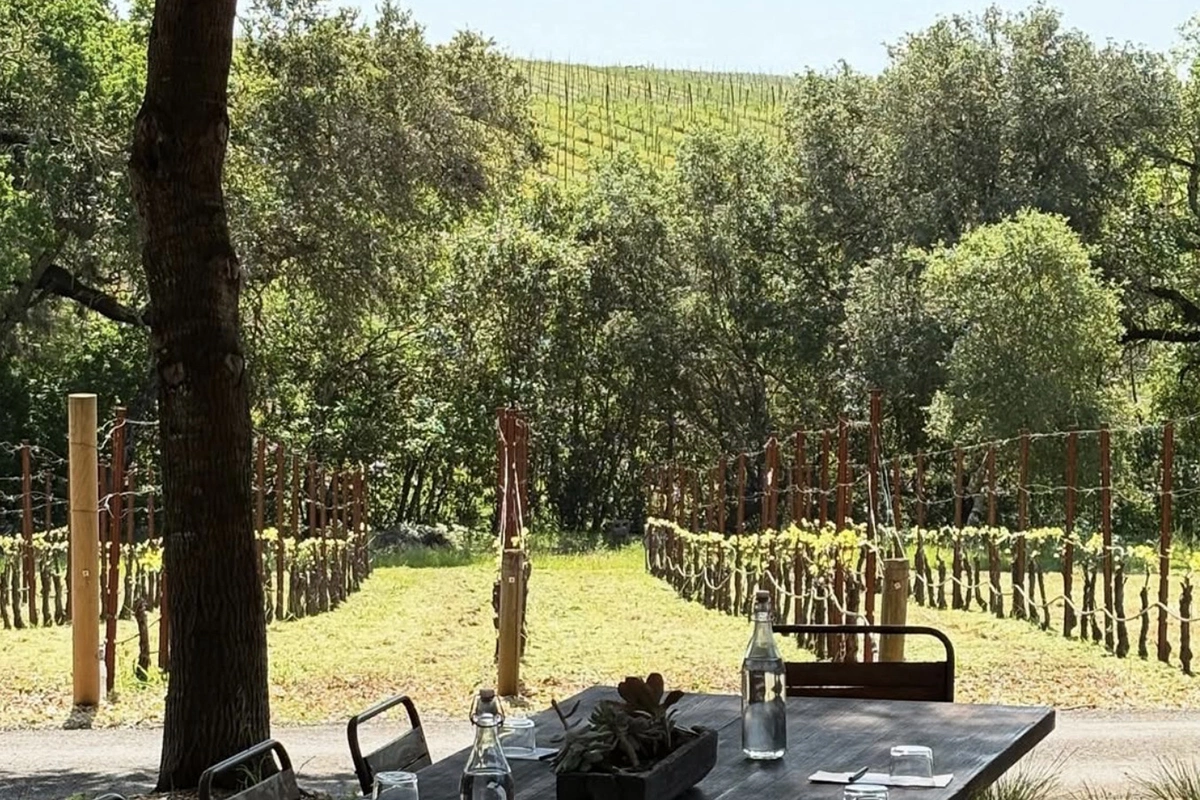 Компания The Overshine Collective, основанная бывшим вице-президентом и главным юристом Alphabet (материнская компания Google) Дэвидом Драммондом, приобрела две винодельни в Сономе