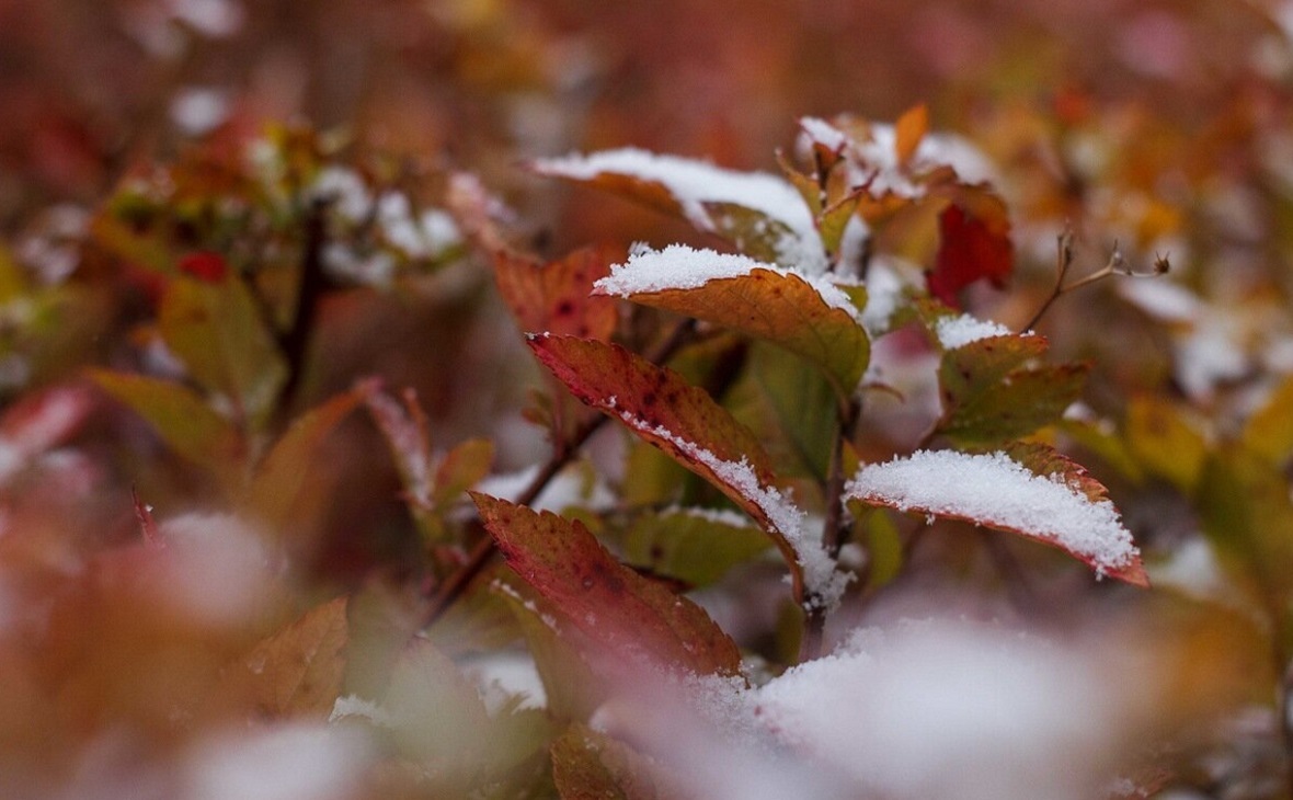 Фото: РБК Уфа