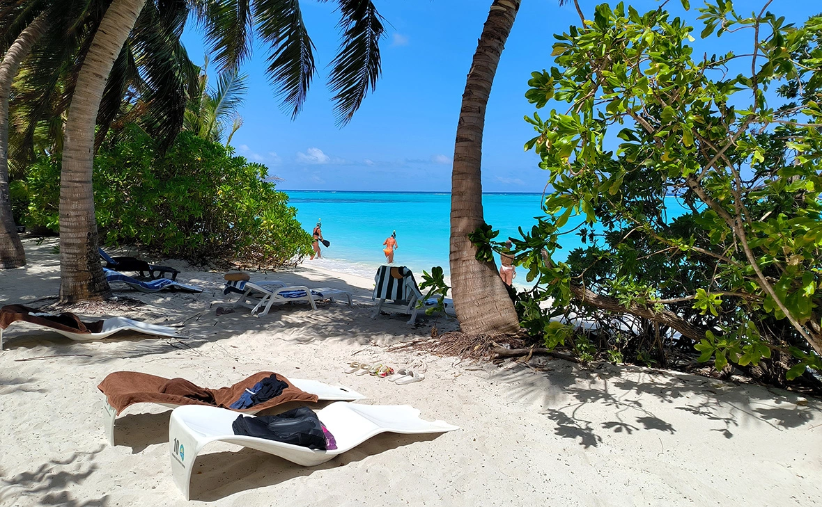 Максим Константинов / Global Look Press