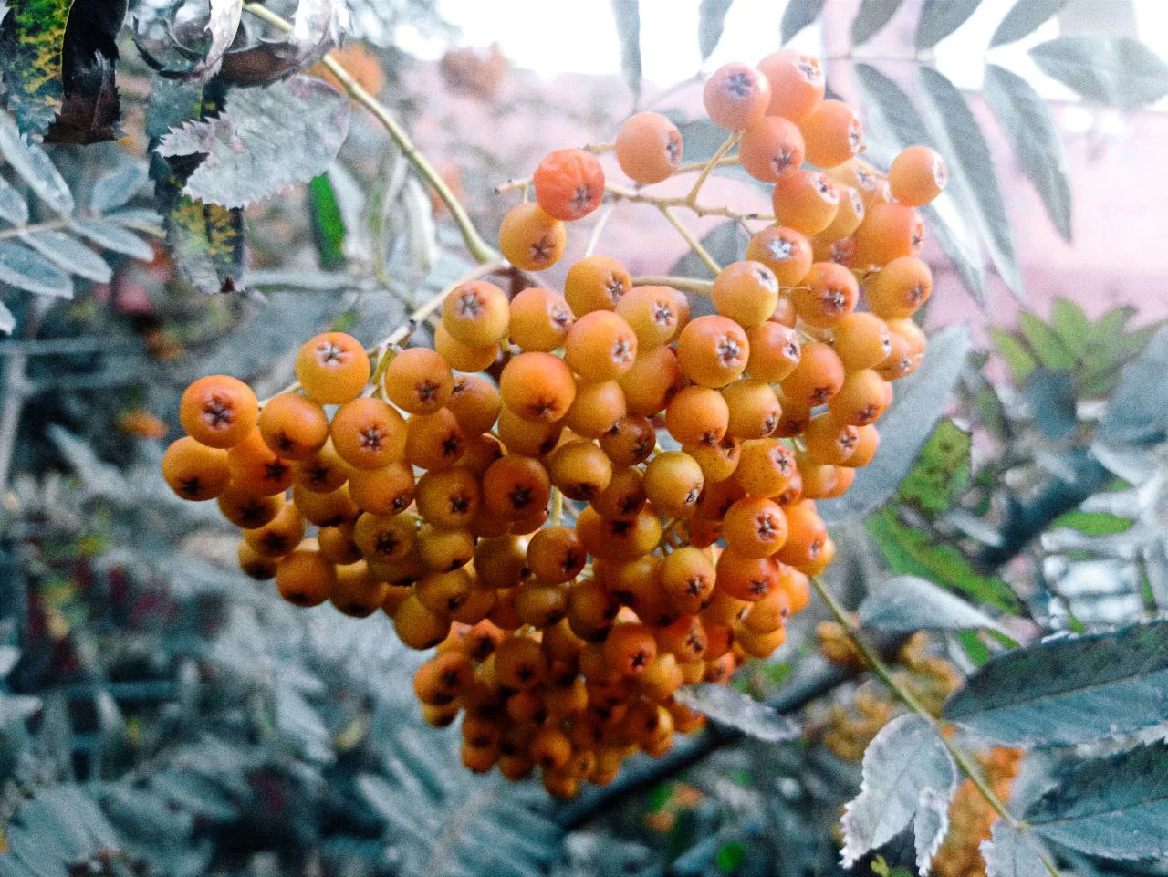 РБК Приморье