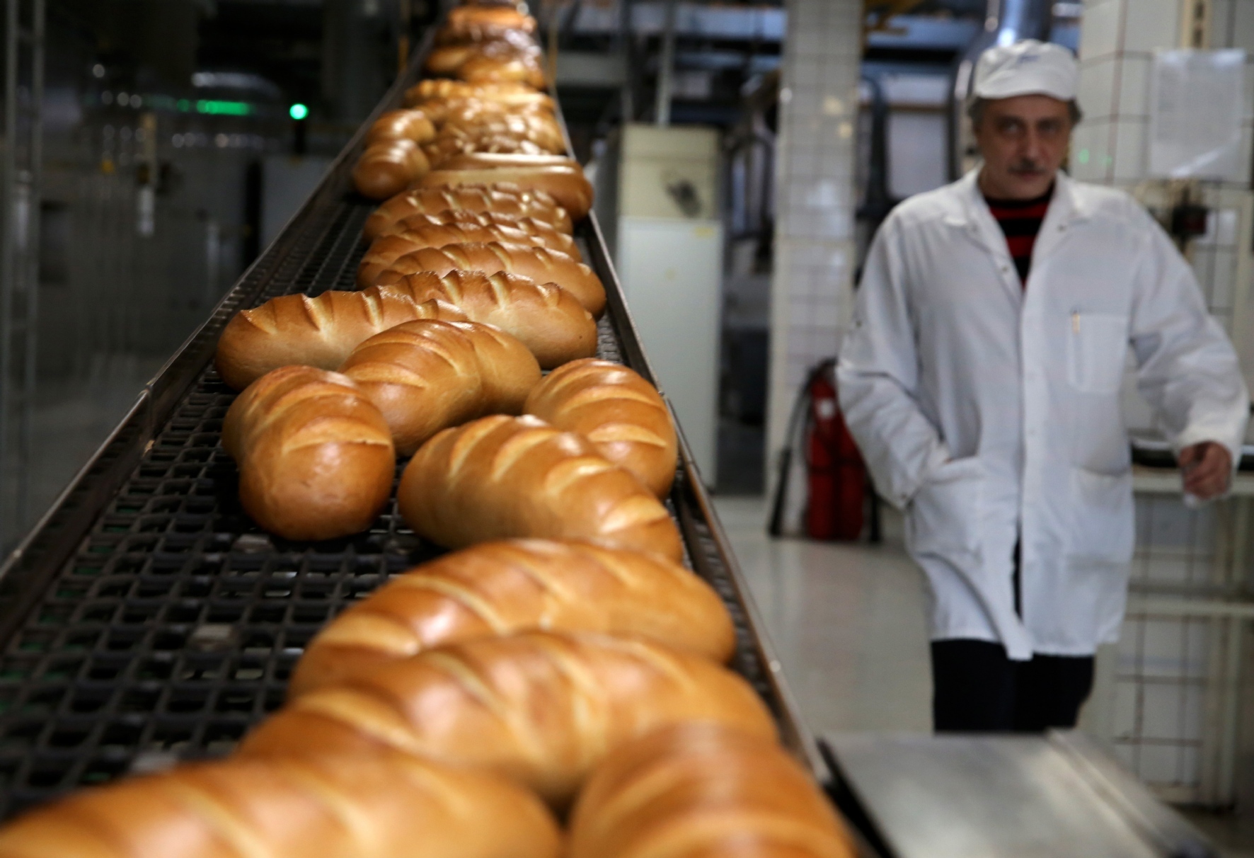 Фото: Холявчук Светлана/PhotoXPress.ru