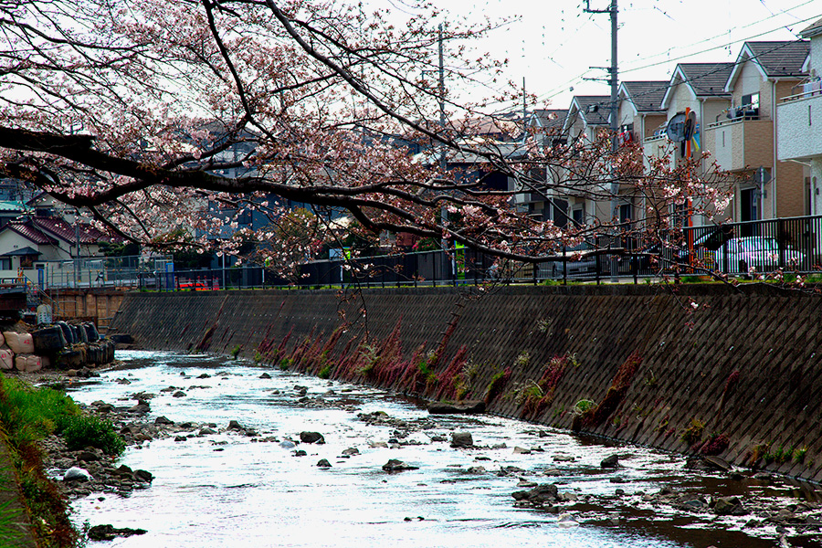 Фото: Dave Hansche / Shutterstock