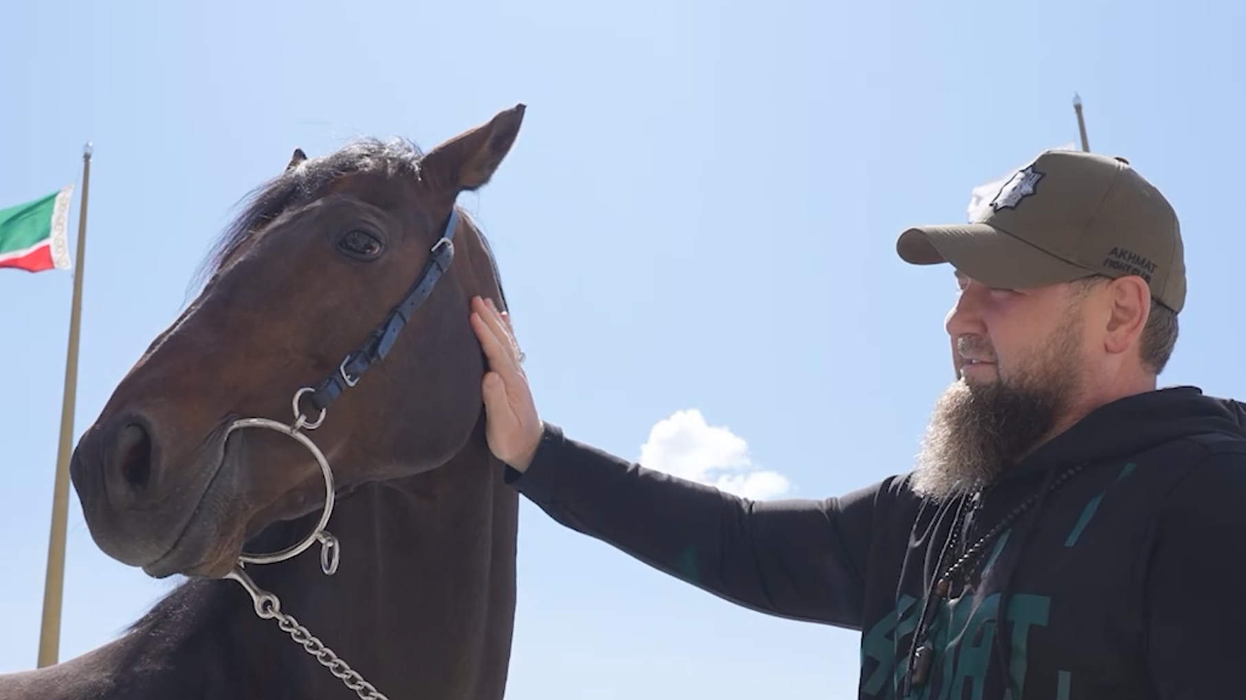 Лошадь кадырова. Лошадь Рамзана Кадырова Зазу. Рамзан Чехия лошадь. Конюшня Кадырова.
